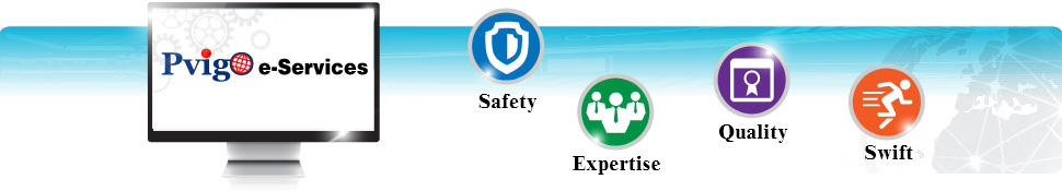 NAIP PVIGO e-Services