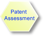 Patent Assessment