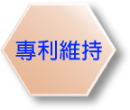 專利維持