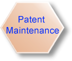Patent Maintenance